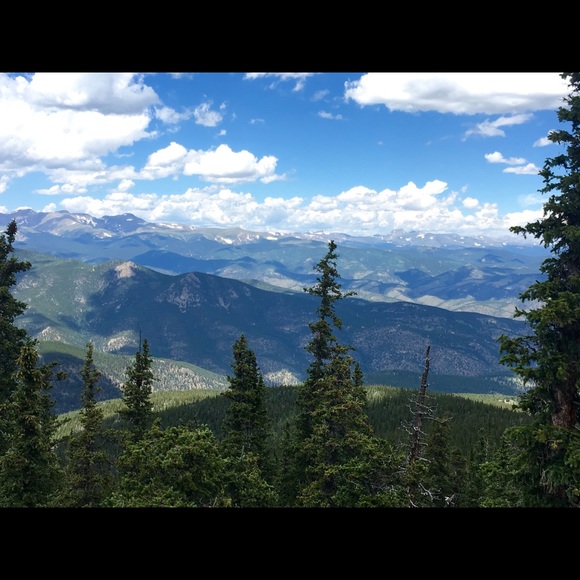 Meet your Posher, Ann - Picture 1 of 1